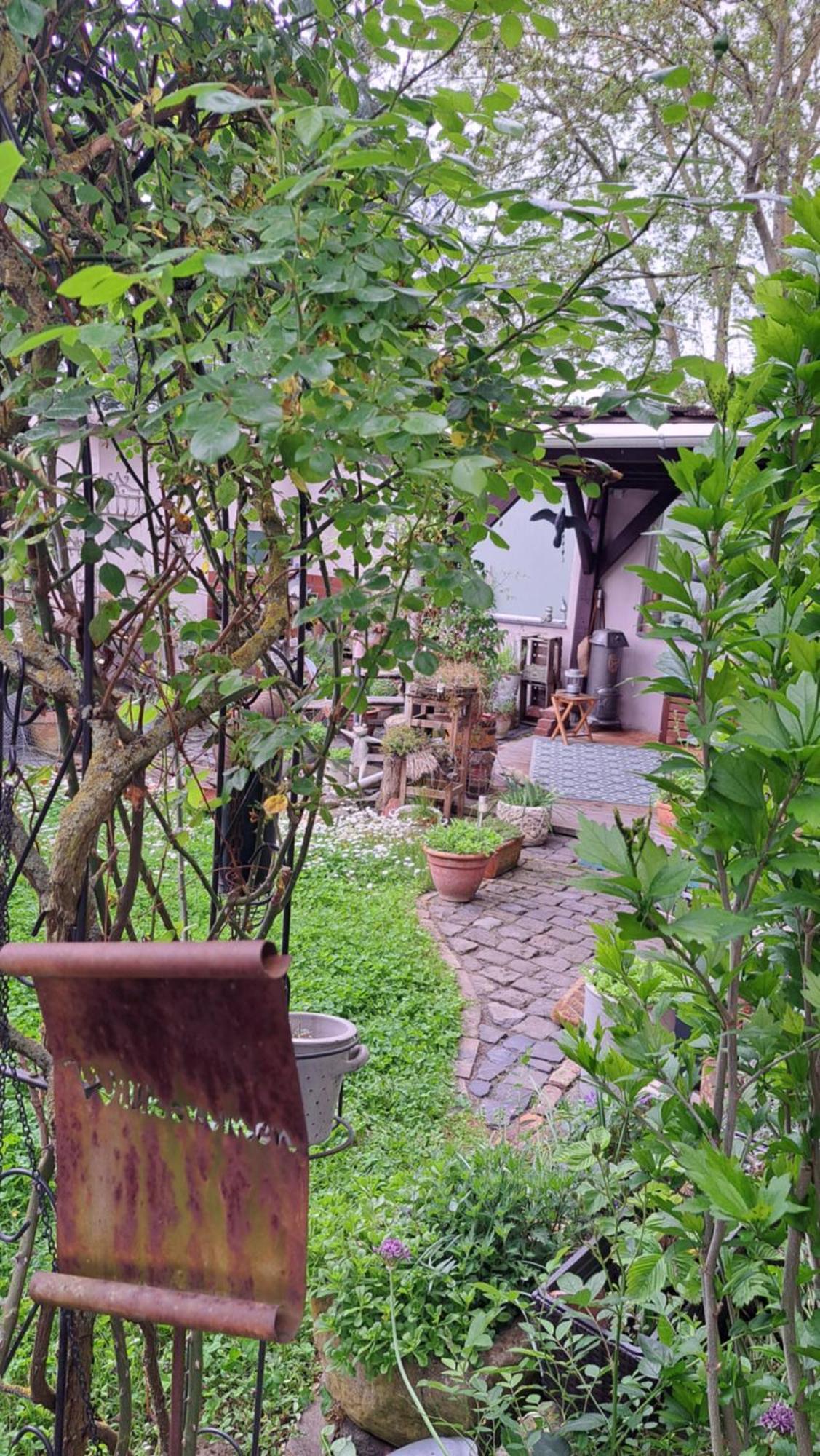 Ferienwohnung Vogt Mertloch Bagian luar foto