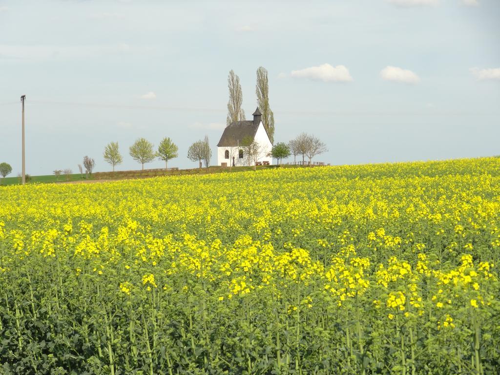 Ferienwohnung Vogt Mertloch Ruang foto